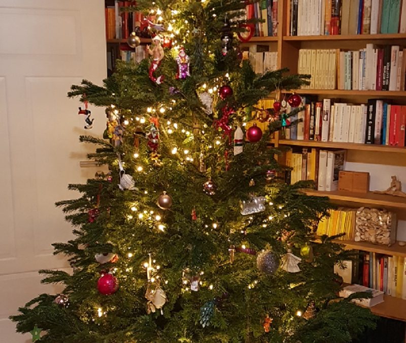 Nachhaltig Weihnachten feiern, Teil 2