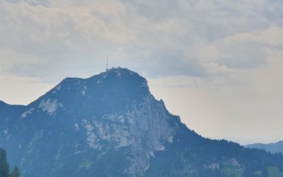 Wie klimaschädlich ist Milch wirklich?