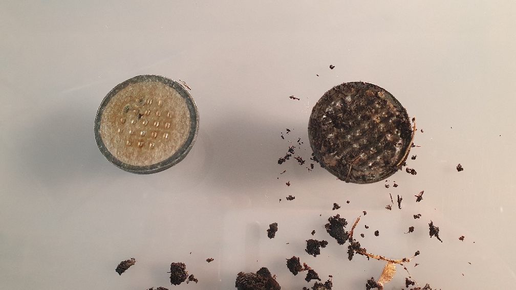 Kann Plastik kompostierbar sein?