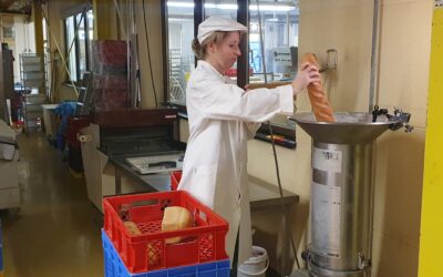 Wie man Brot rettet